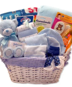 Simply Baby Necessities Gift Basket in Blue